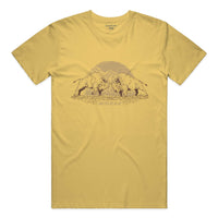 Maize Yellow