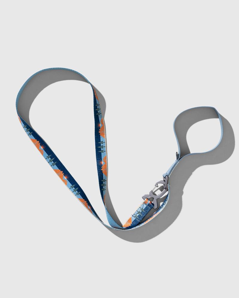 Terracotta (R)evolution™ Recycled Woven Dog Leash (Flat-lay): Blue and orange patterned leash with loop handle and silver clip