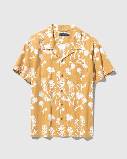 Wood Thrush