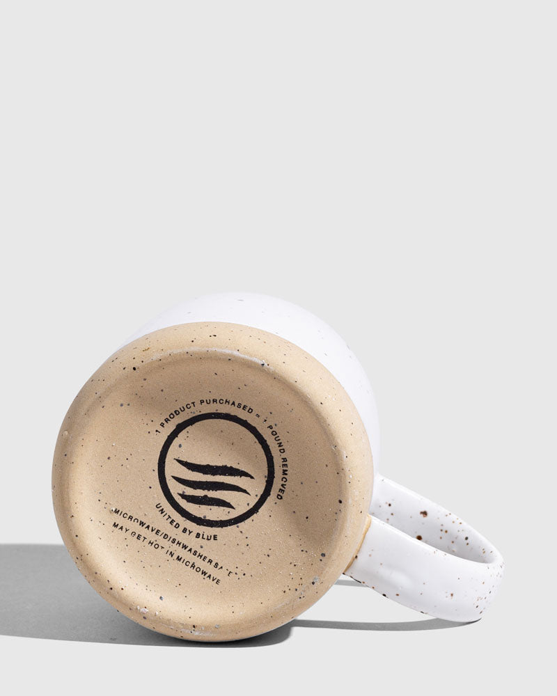 EGGSHELL
