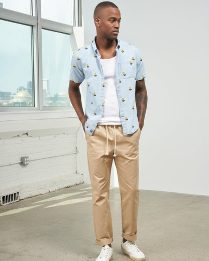 Chambray